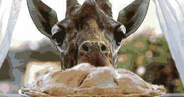 funny-giraffe-eating-pie-window-animated-picture.gif