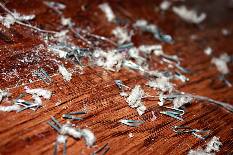 The Hamiltons Ripping the Carpet off Our Stairs