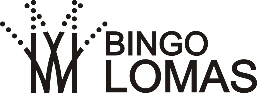 Oferta de Sponsor para Banfield Bingo+lomas