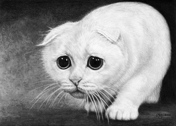 WERCIAK10: Duuużo obrazków i projekt dnia