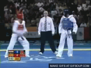 taekwondo-o.gif