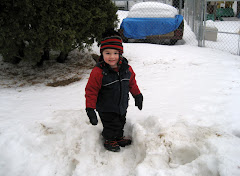 Playing in the Snow