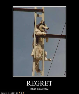 Funny+Dog+Pictures+(156).jpg