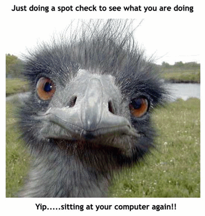 funny funny