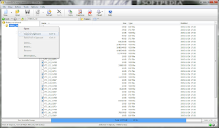 Zlauncher 5.xx serial key or number