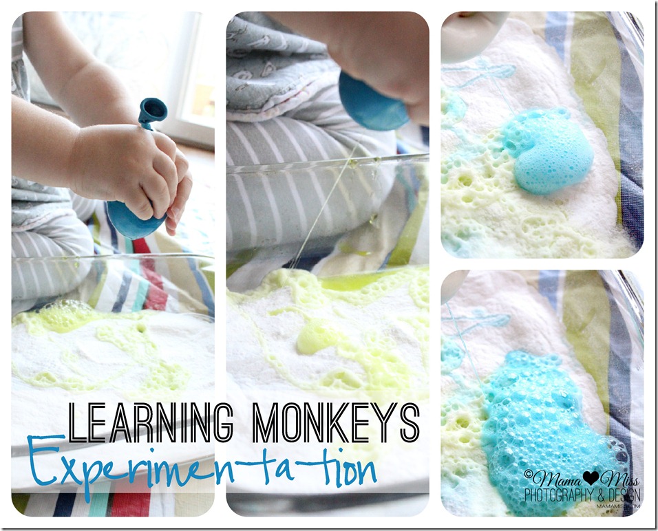 Momma's Fun World 45 fun things you can do with food coloring