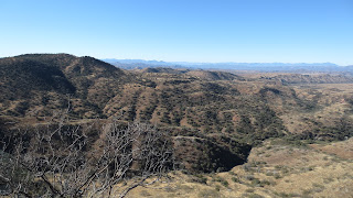 Coues+Deer+Country+in+Sonora+Mexico+with+Colburn+and+Scott+Outfitters+6.JPG