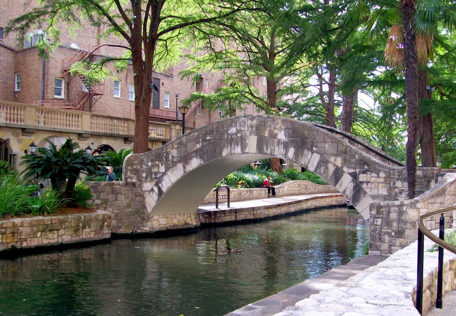 Rockhounding Around The River Walk San Antonio TX
