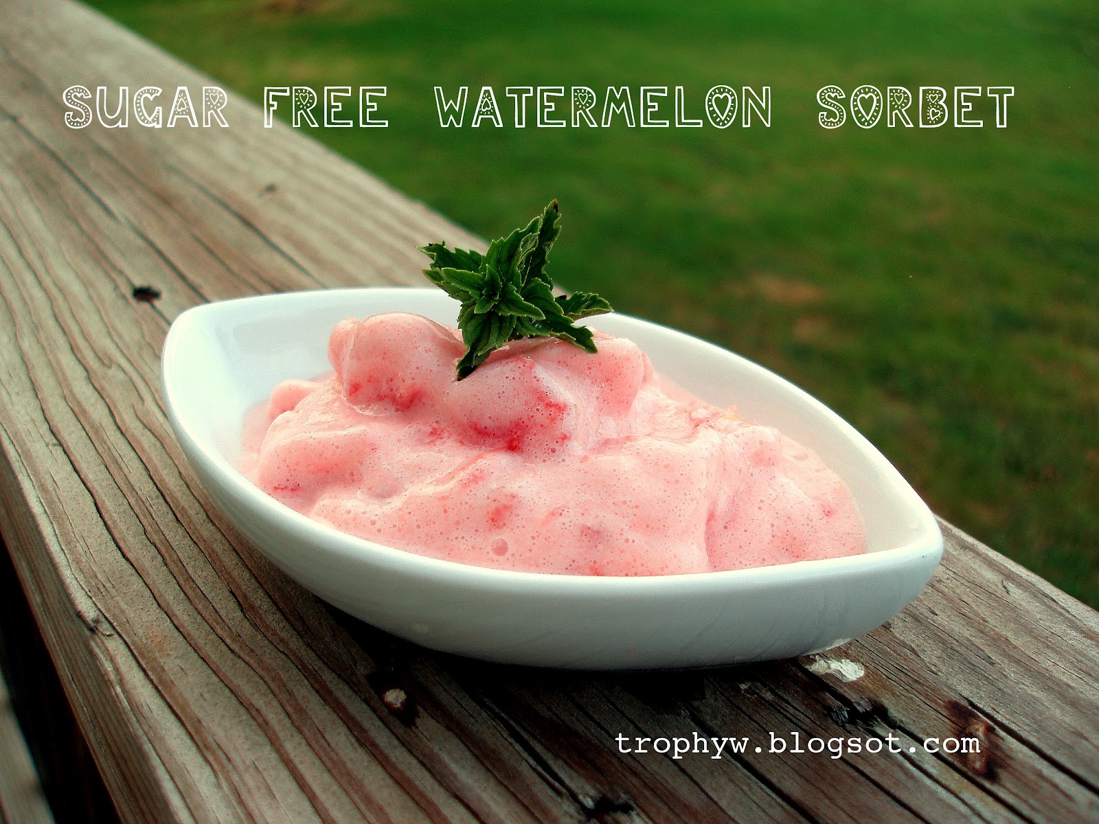 Tales of a Trophy Wife SugarFree Watermelon Sorbet