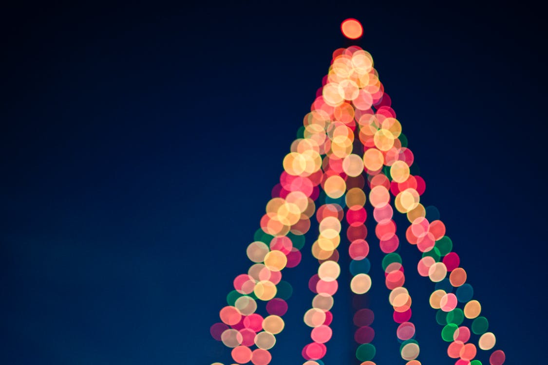 now that thanksgiving is over we are in full christmas mode from shopping to decorating holiday parties to caroling there is so much to look forward to - Christmas Lights In Utah now that thanksgiving is over we are in full christmas mode from shopping to decorating holiday parties to caroling there is so much to look forward to - Christmas Lights In Utah