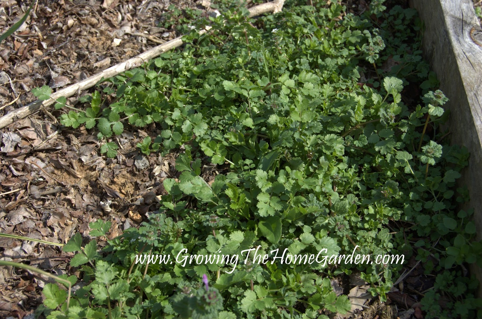 How to get pregnant 38 years old navy, things to prepare before