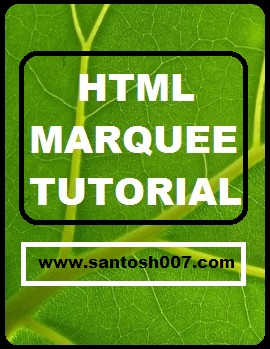 marquee codes