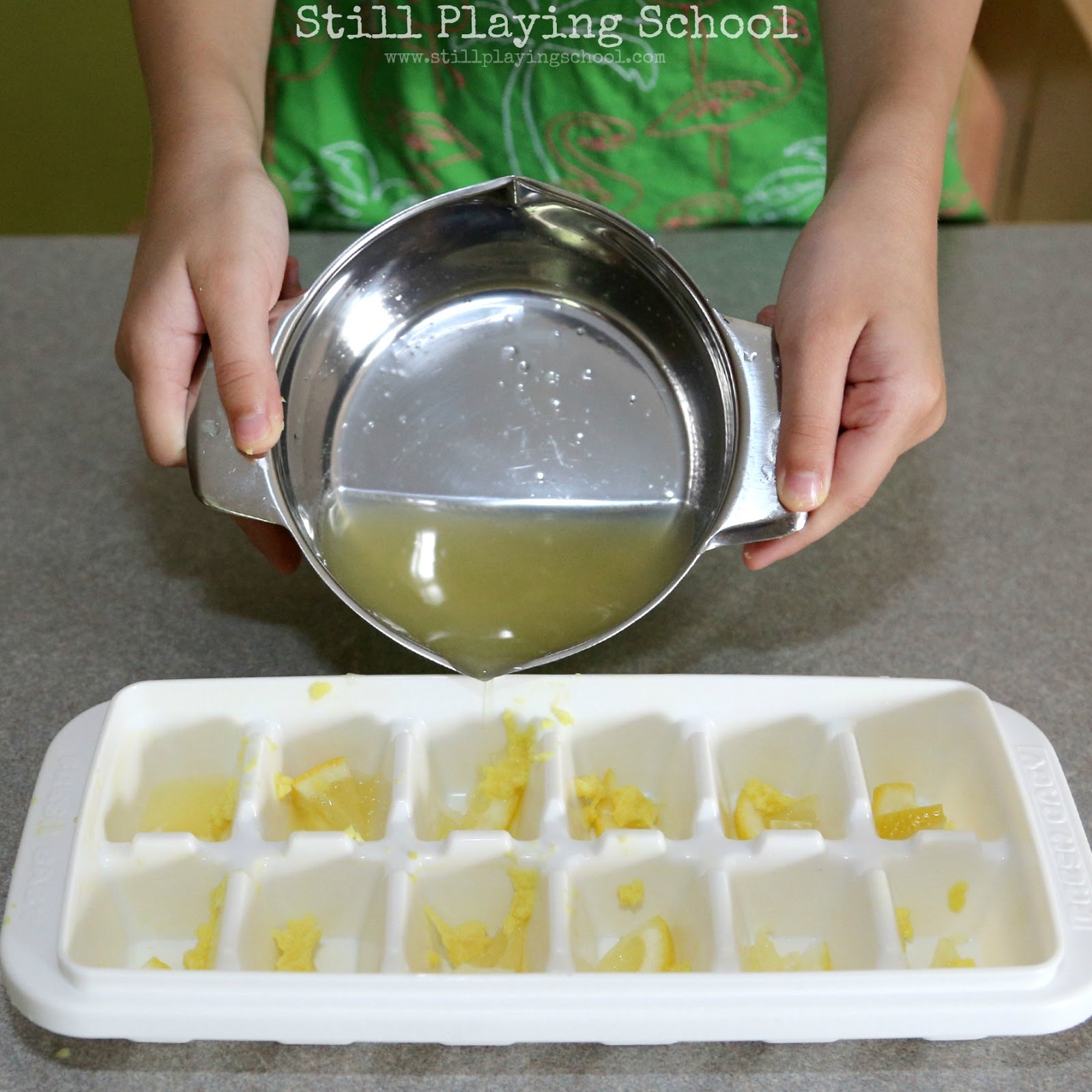 Lemon Ginger Ice Cubes for Refreshing Infused Water Still Playing School