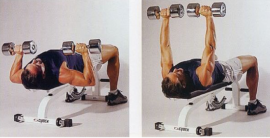 Body Building Plaza Because Nothing Is Beyond Your Health Flat