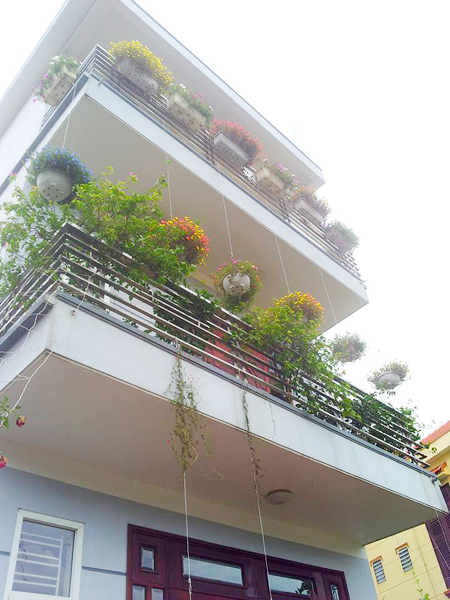 [Image: ngoi-nha-no-hoa-muoi-gio-dep-6.jpg]