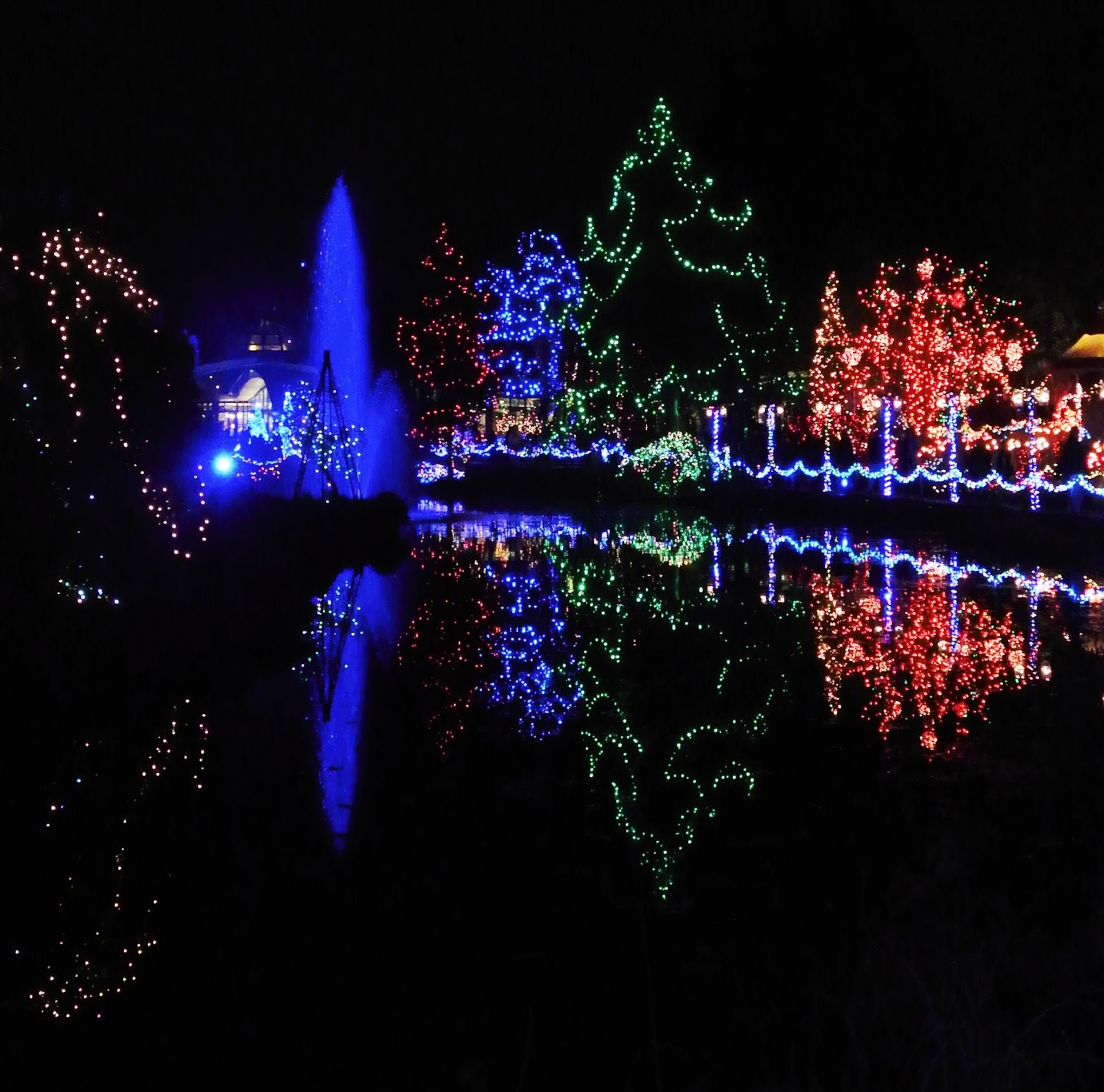 vivian - in stitches: Christmas Lights, Van Dusen Gardens