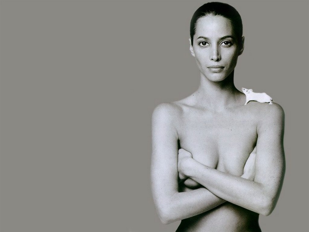 http://1.bp.blogspot.com/-0jENy_rxhng/Ta-7L6qEl2I/AAAAAAAANnw/_iHhzOK8O9I/s1600/christy_turlington_Wallpaper.jpg