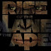 Weekly Topten movies at the Box office - Rise of the planet of the apes still Number one