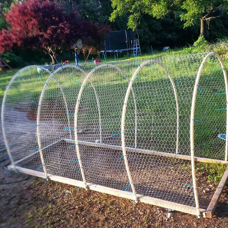 Crow Mountain Farm Building a cheap and easy chicken run