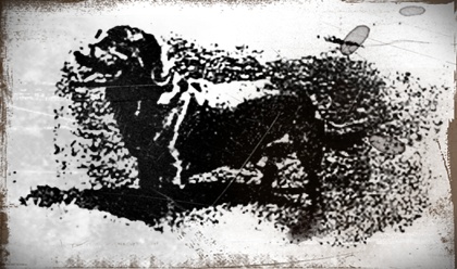 Lobos, perros, zorros y otros cánidos míticos, fabulosos y legendarios Black+dog+of+the+hanging+hills+01