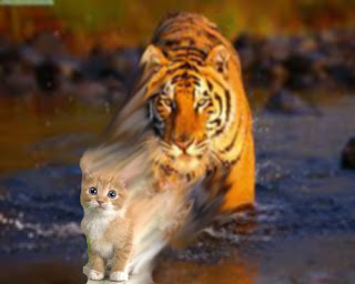 Buruk Rupakah Kita? Nanti Dulu! (http://kumbinobayu.blogspot.com)