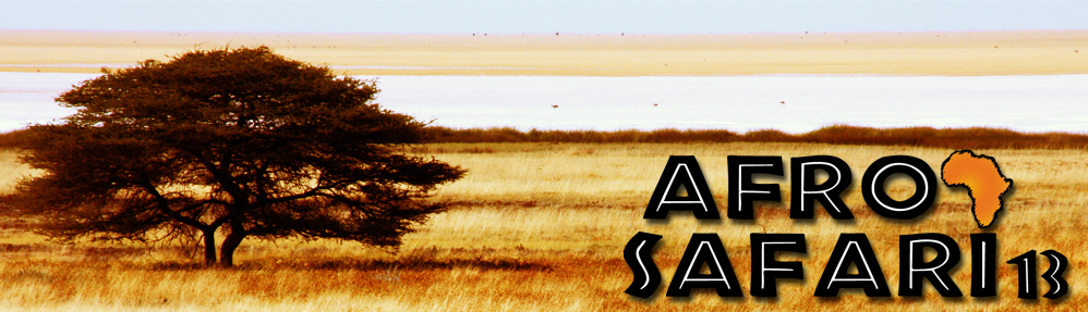 AfroSafari13 : Association d'échanges sur la culture africaine