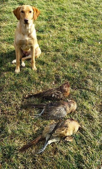 Hunt with Adam out at Coon Creek