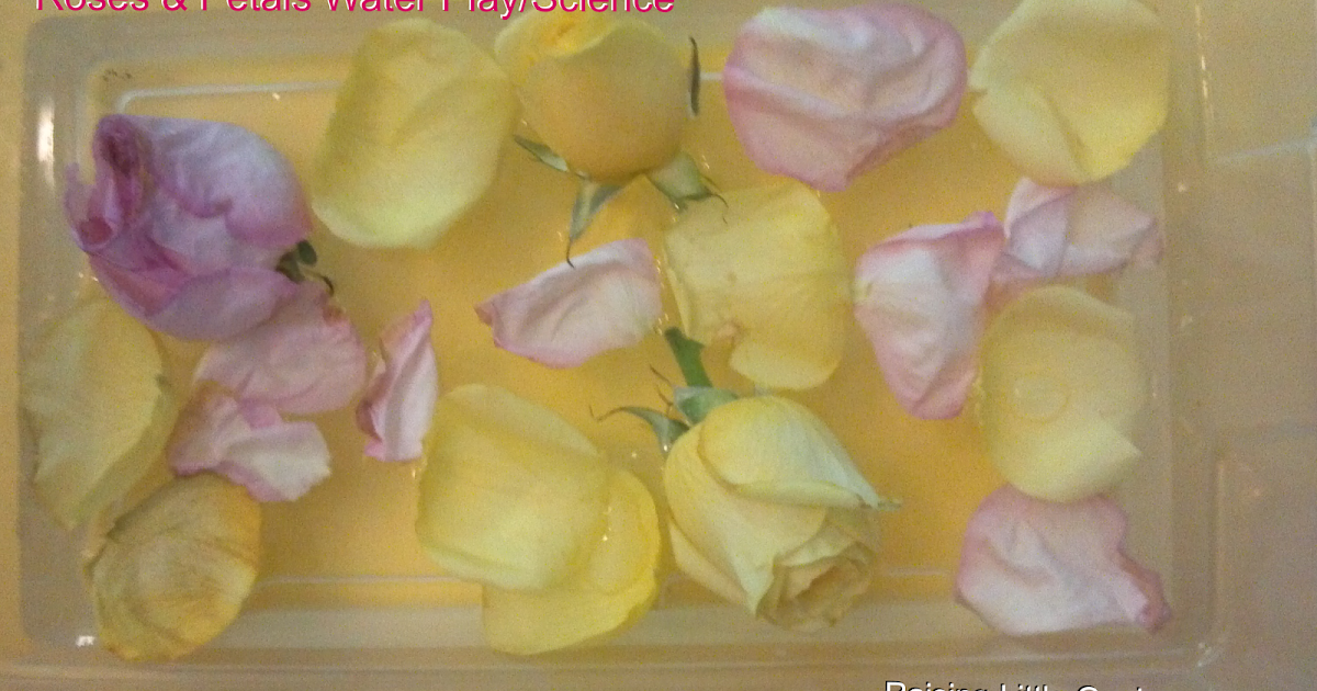 Raising Little Geniuses Roses & Petals Water Play/Science