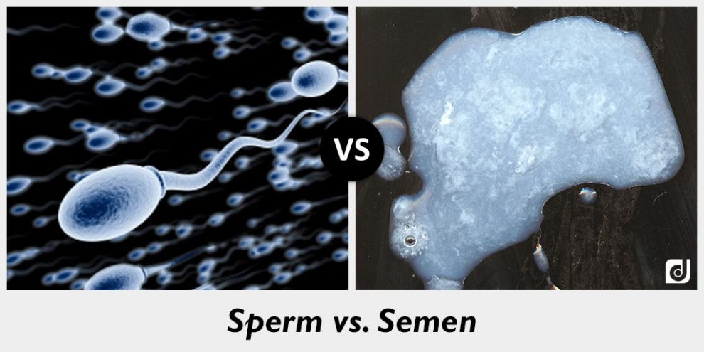Doctors secretary get sperm in ass