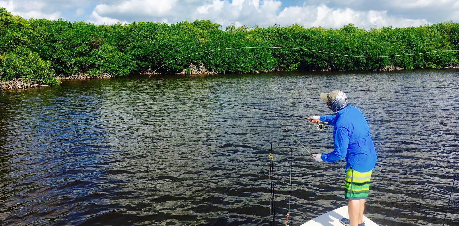 Fly fishing fruitlessly in mangroves