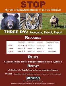 THE 3 R's - RECOGNIZE - REJECT - REPORT