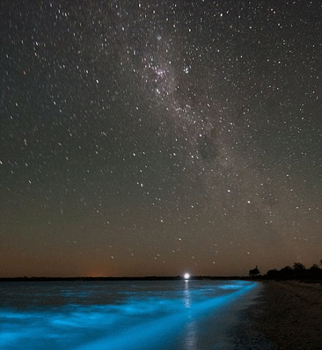 Air Danau yang Menyala di Malam Hari