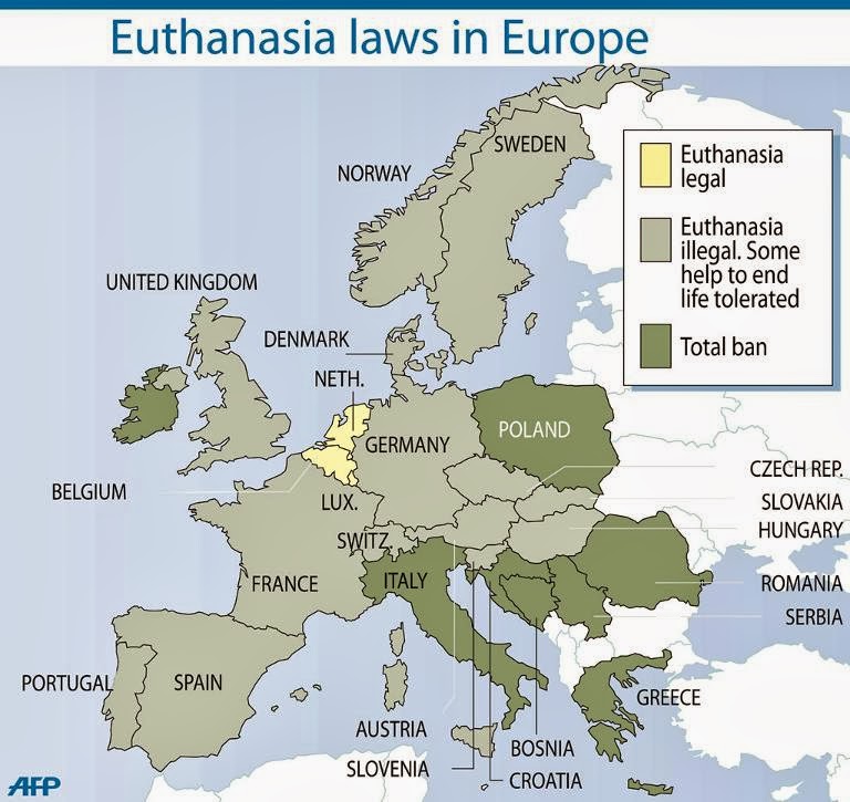 euthanasia in america essay euthanasia in america essay