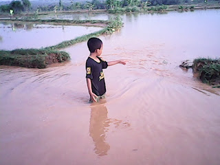 Banjir "Bandang'' Terjang Area Persawahan Ds. Kedungrejo