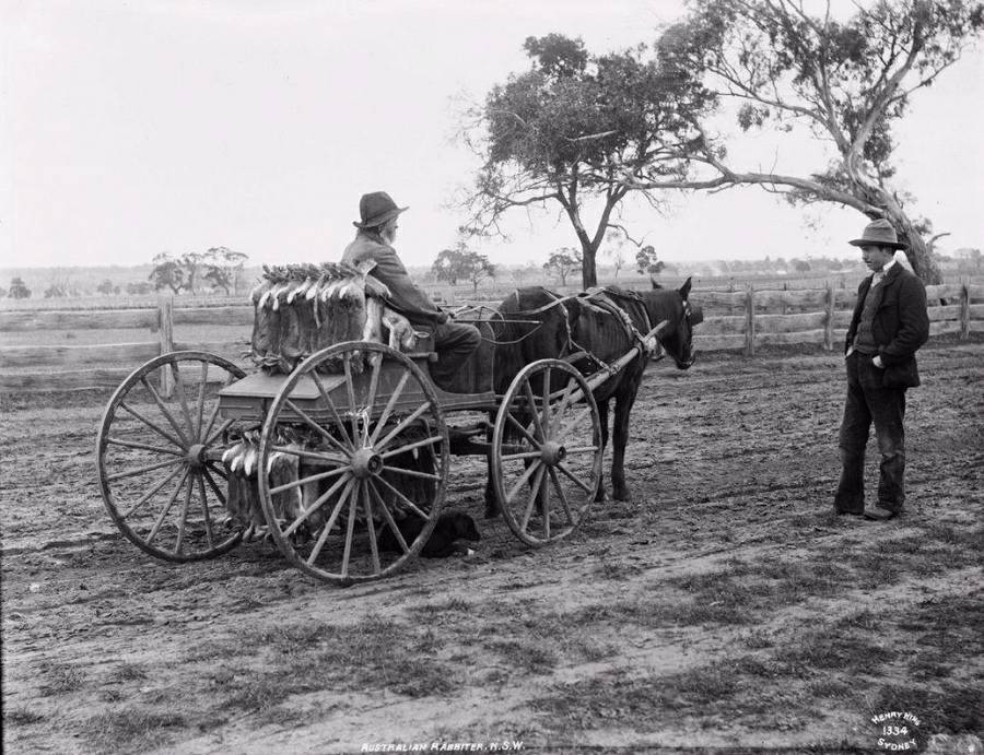 A Volta Do Rural [1939]