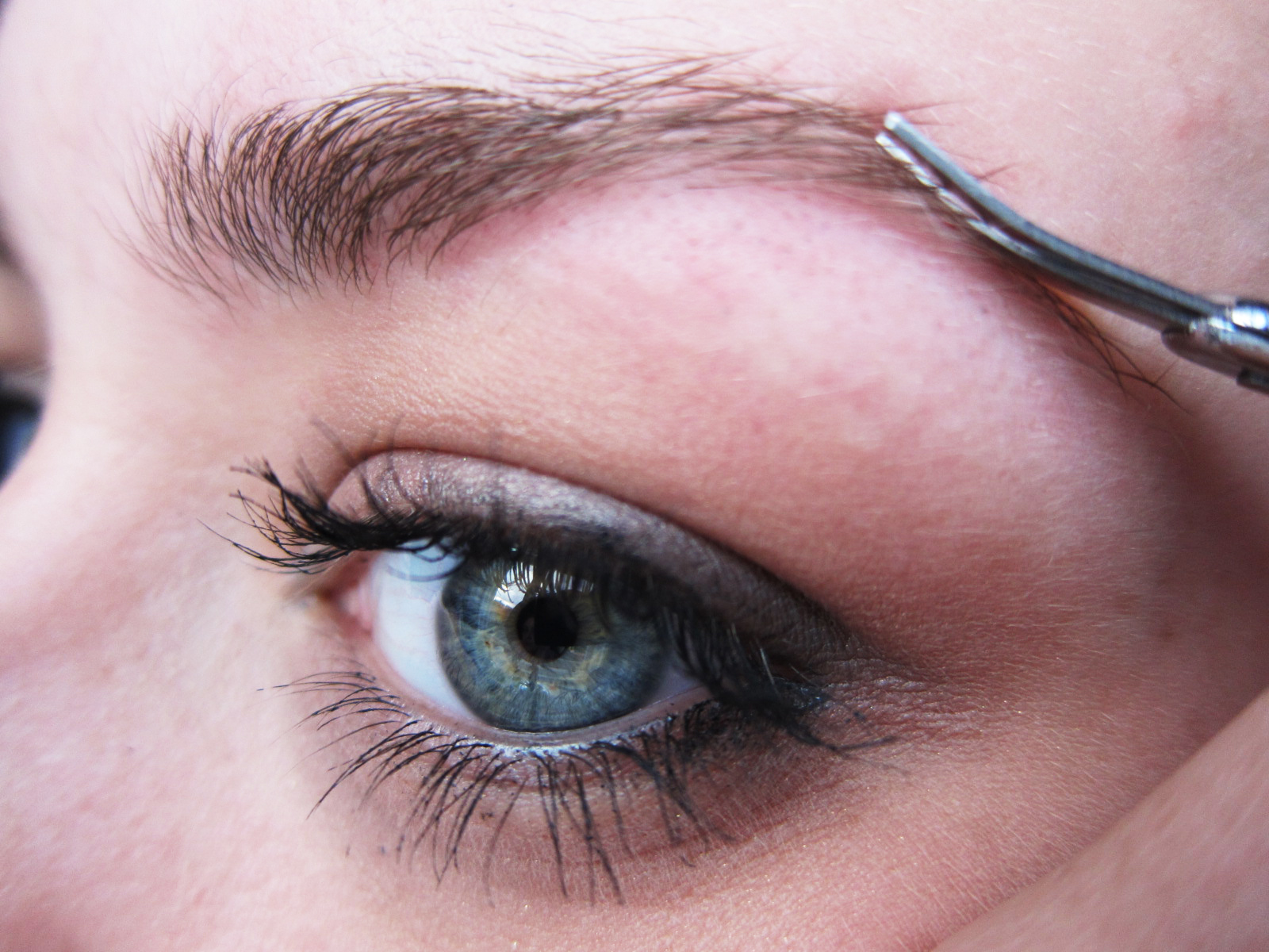 Neeny's Wishlist * ! ! How to Pluck and fill in your eyebrows!