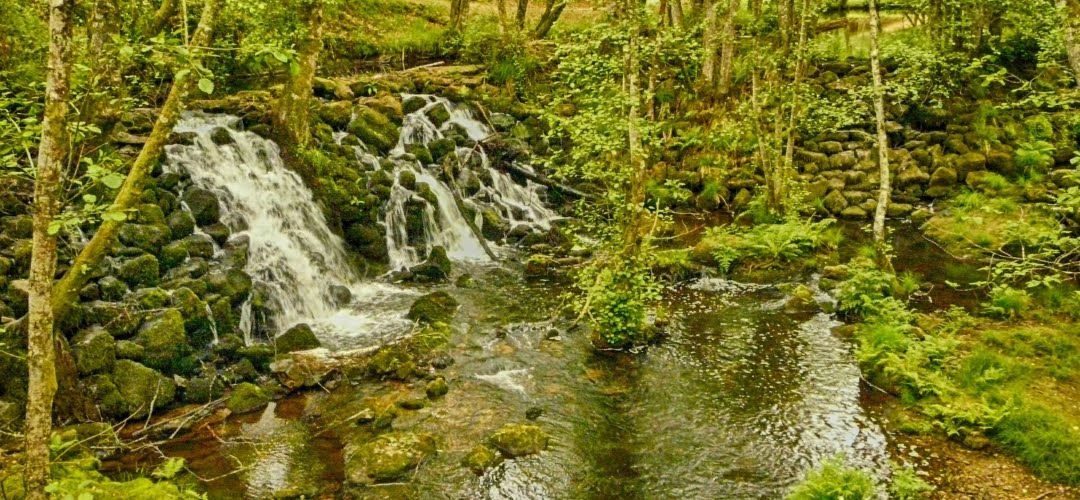 RÍOS QUE SURCAN MONTAÑAS, CASCADAS QUE DAN MÚSICA A LOS BOSQUES. SOMOS AGUA...