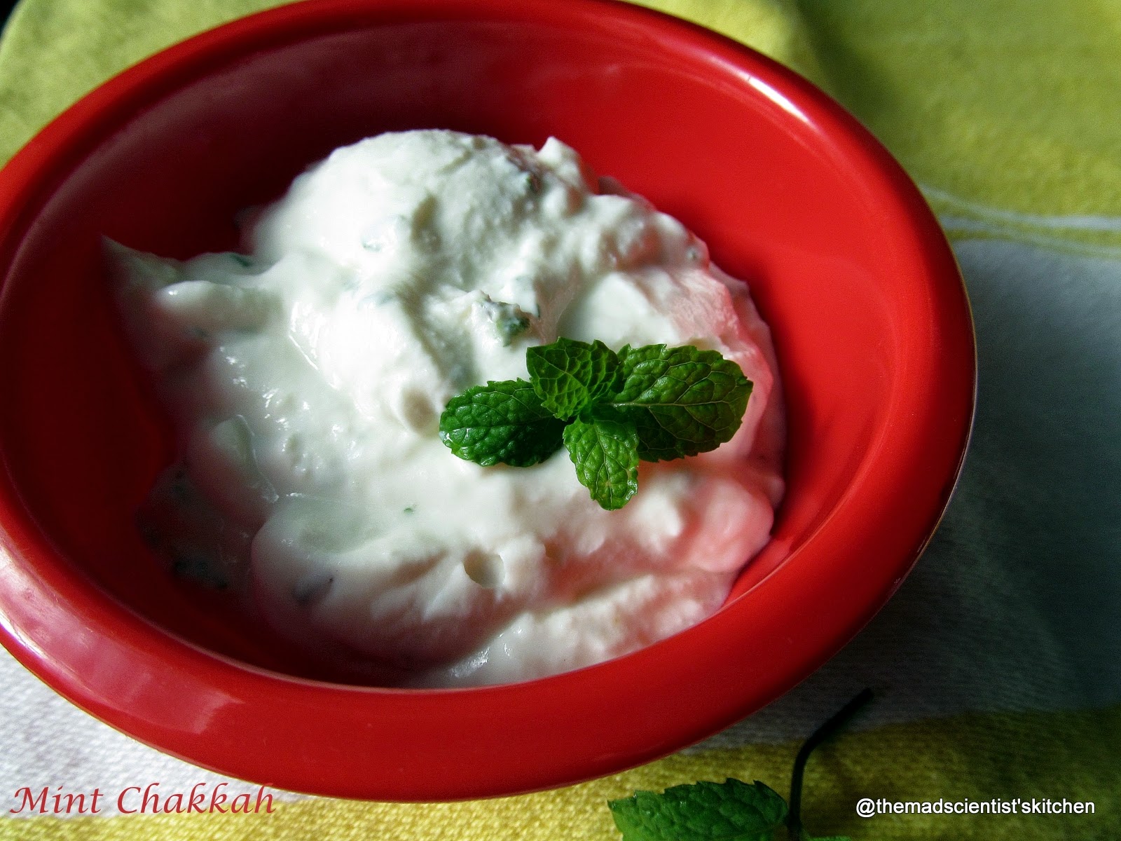 mint chakkah~ a creamy curd and mint dip