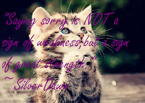 Saying Sorry