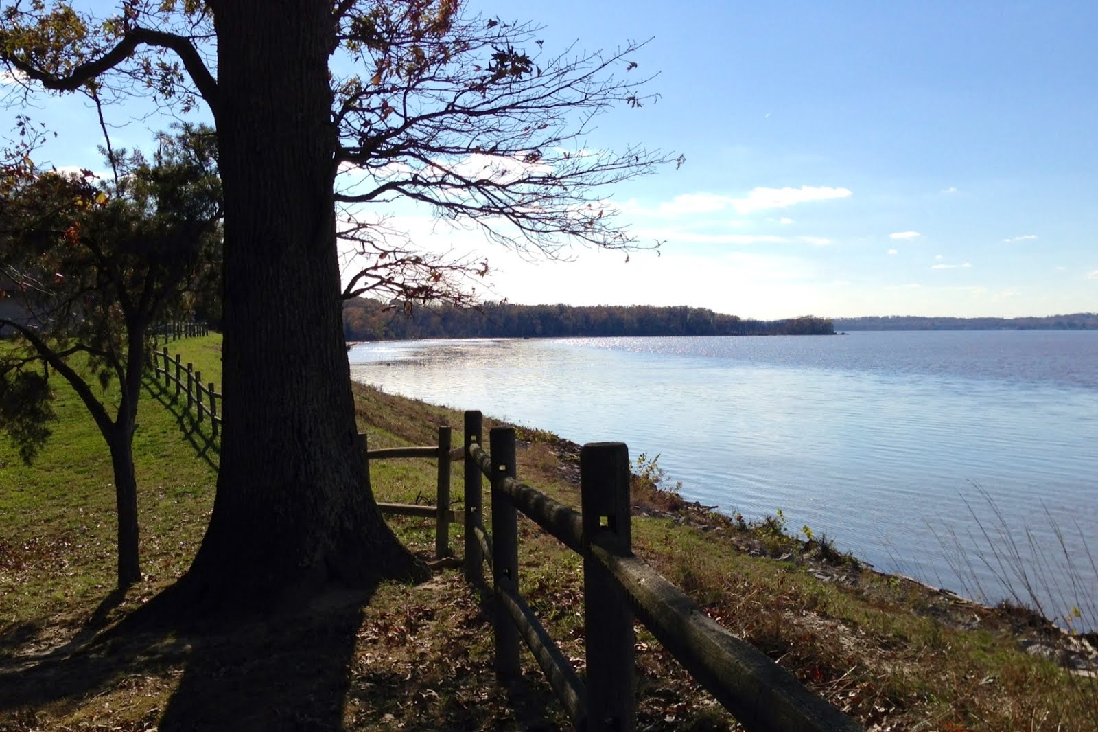LIT's Living on Capitol Hill (Hell!?) Mason Neck State Park and