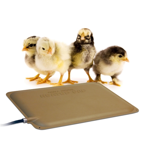ThermoPeep Heating Pad for Baby Chicks Review Paris Farmers Union