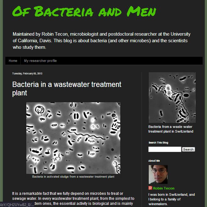 treatment wetlands Bacteria in a wastewater treatment plant. take a