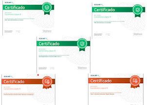 Learning certificates