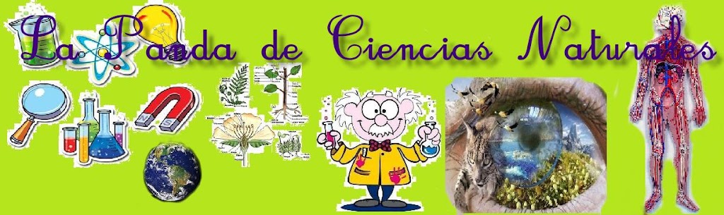 LA PANDA DE CIENCIAS NATURALES