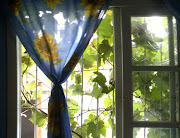 Algumas fotos Legais (hps )