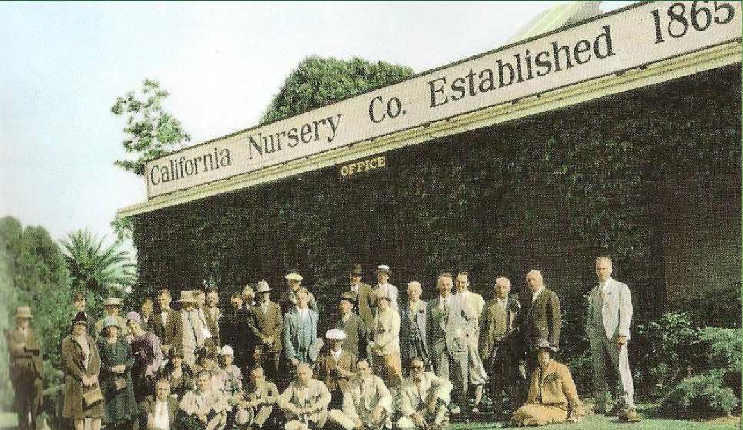 The Illustrated Plant Nut The California Nursery Company History