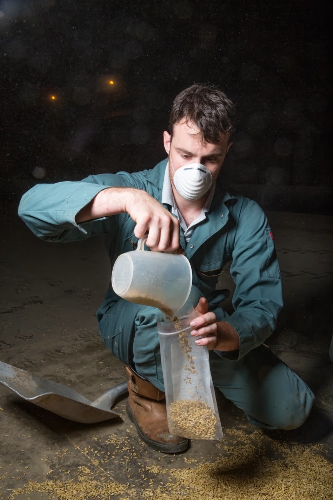 The Global Miller Updated grain sampling guide from HGCA