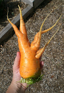 Mutant Carrot!