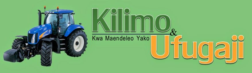 kilimo