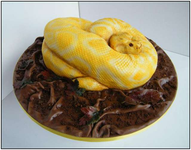 Fat Kid Eating Cake Happy Birthday